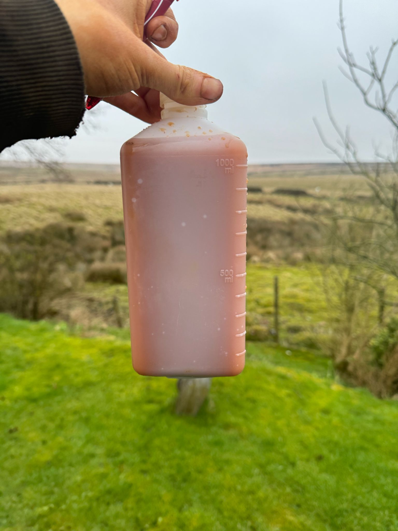 Water Test Borehole Water